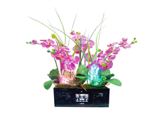 迎風(fēng)吐艷[專利號(hào)：ZL201020164331.6]