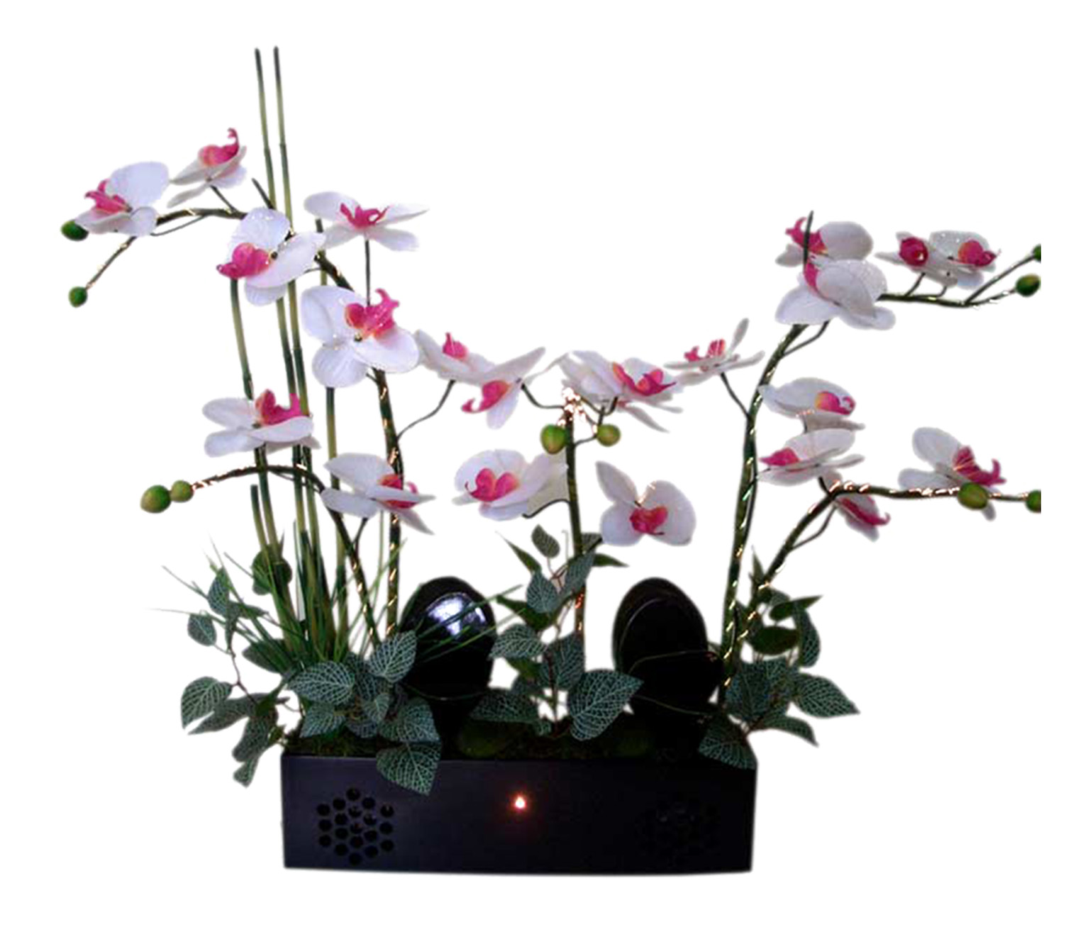 白衣天使F1[專利號：200620016175.2]