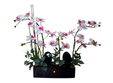 白衣天使F1[專利號(hào)：200620016175.2]